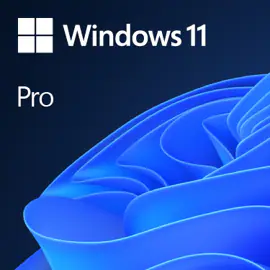 Windows 11 Pro Logo